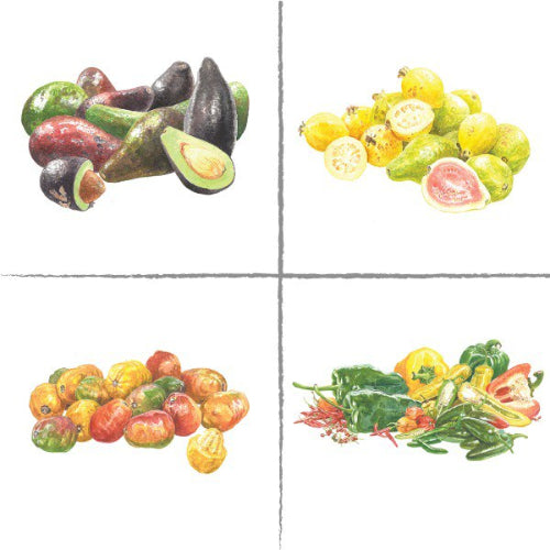 Ilustraciones de