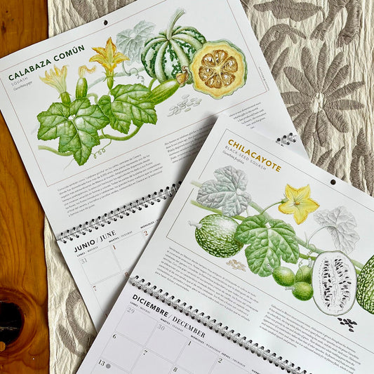 Calendario 2027. Promo: 10 pz + bolsa de loneta de Opuntia