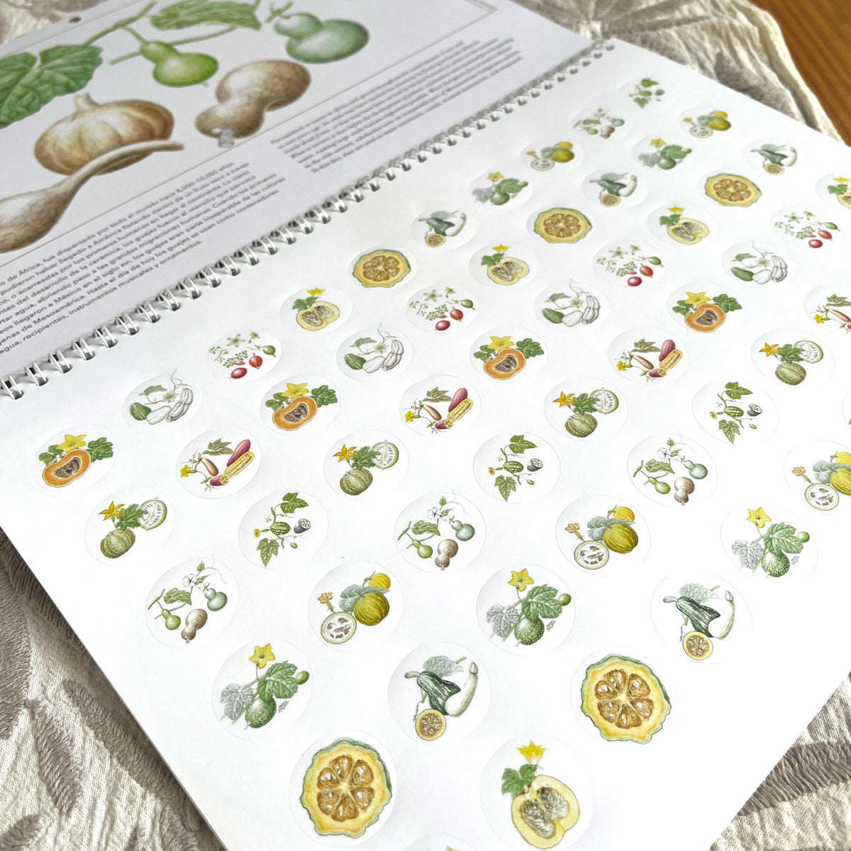 Calendario 2027. Promo: 10 pz + bolsa de loneta de Opuntia
