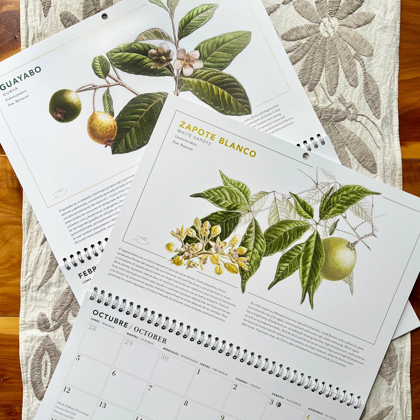 Calendario 2026 Herbolaria de lo cotidiano