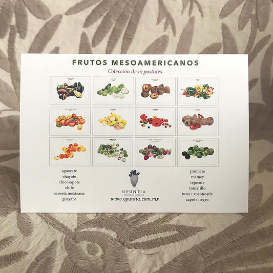 Postales de Frutos Mesoamericanos
