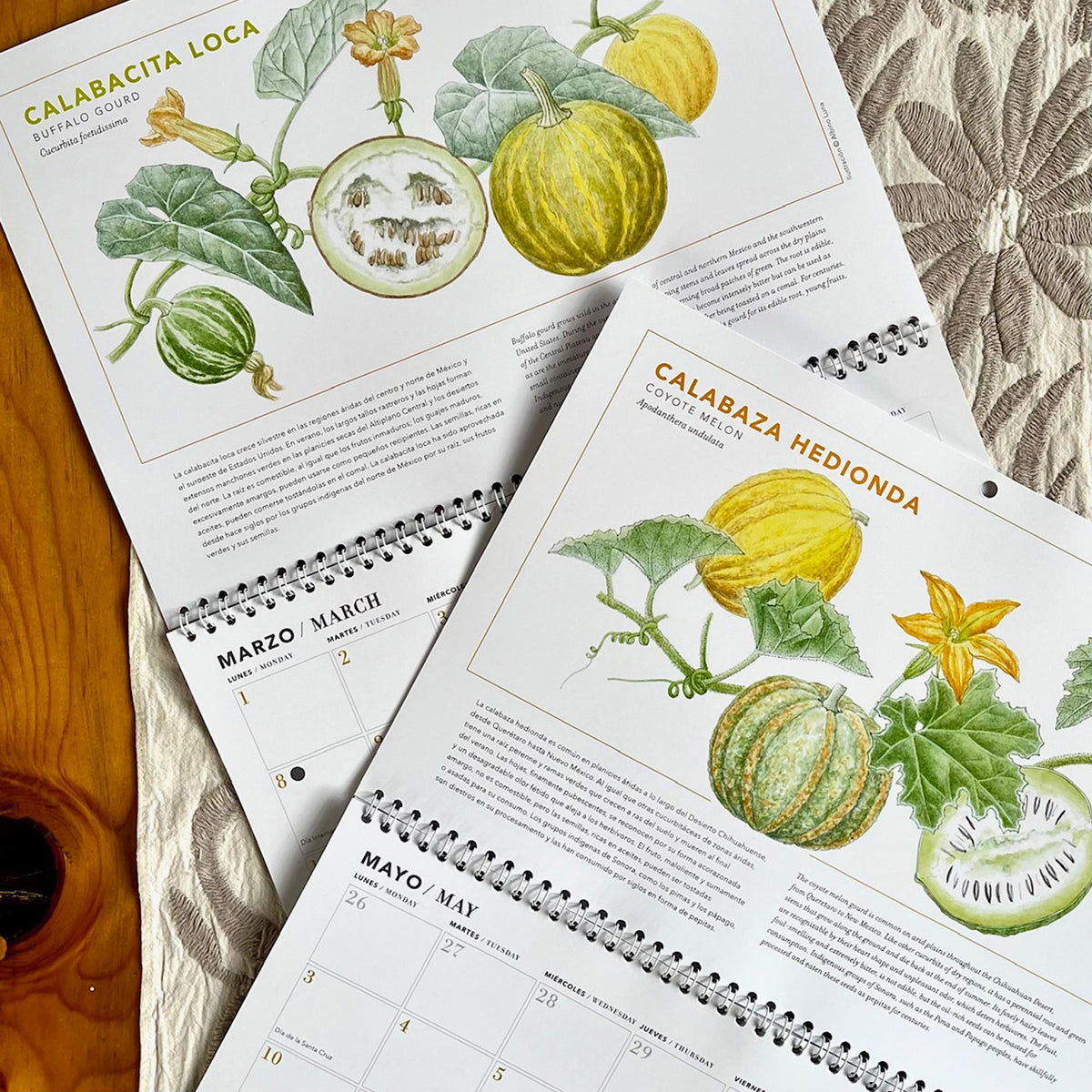 Calendario 2027 Calabazas, guajes y chayotes