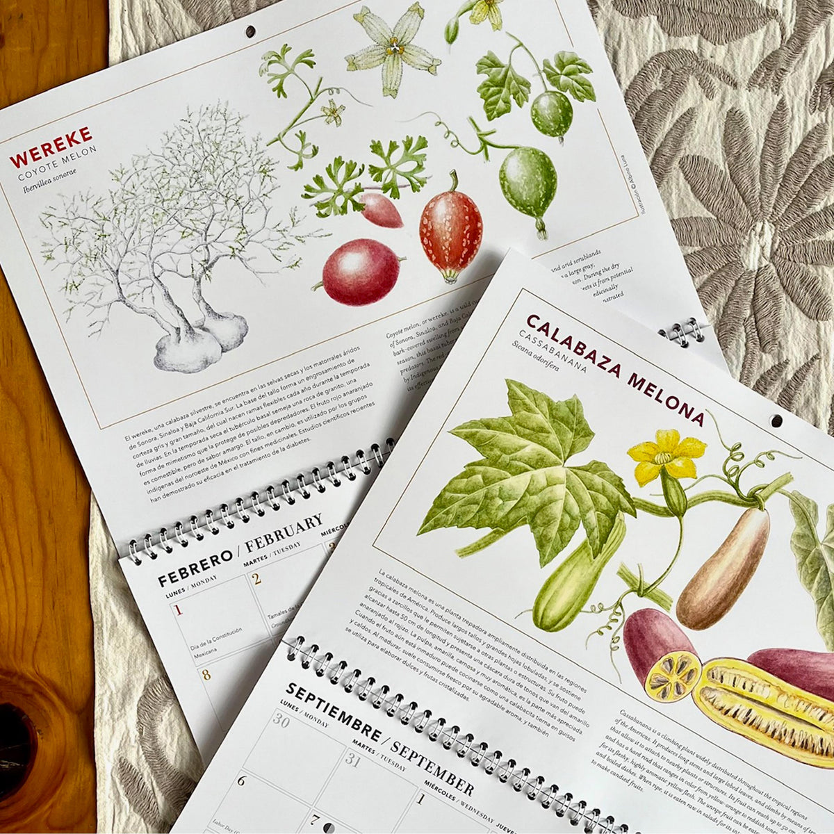 Calendario 2027 Calabazas, guajes y chayotes