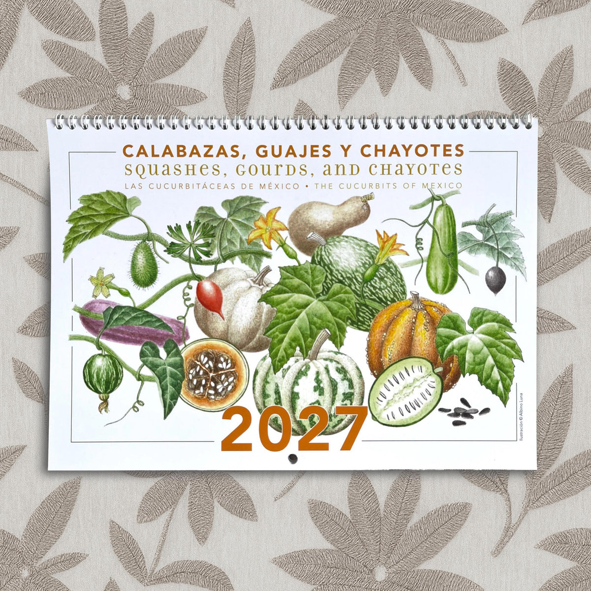Calendario 2027 Calabazas, guajes y chayotes