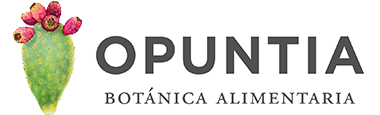 Opuntia Botánica Alimentaria