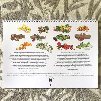 Calendario 2022 Frutos Mesoaméricanos