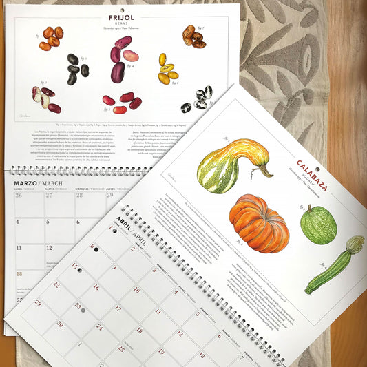Calendario 2024 Desde la milpa