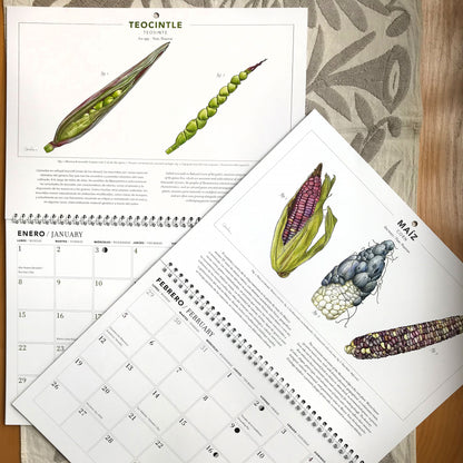 Calendario 2024 Desde la milpa