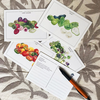 Postales de Frutos Mesoamericanos